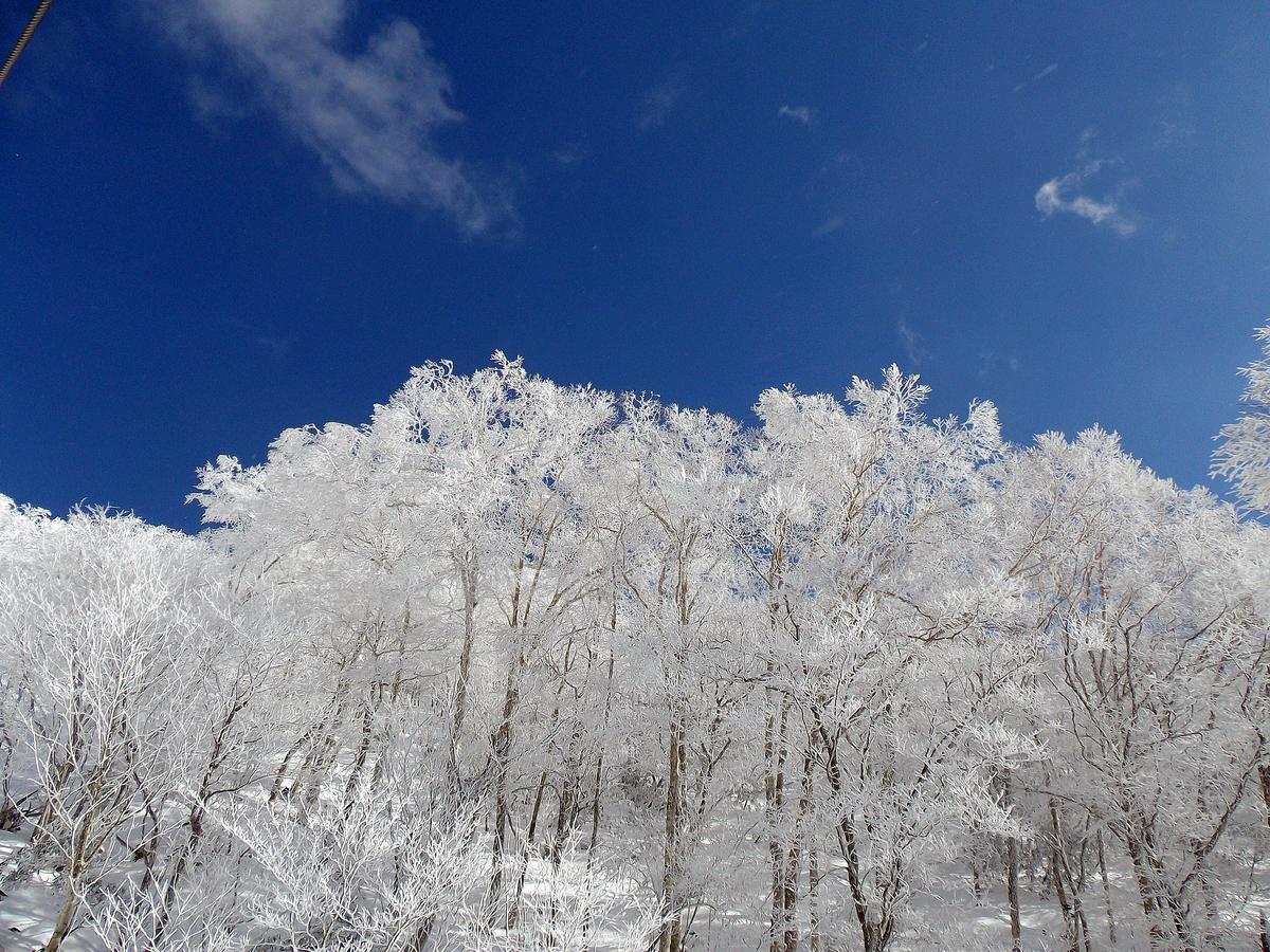 Aizu Astraea Hotel Minamiaizu Bagian luar foto
